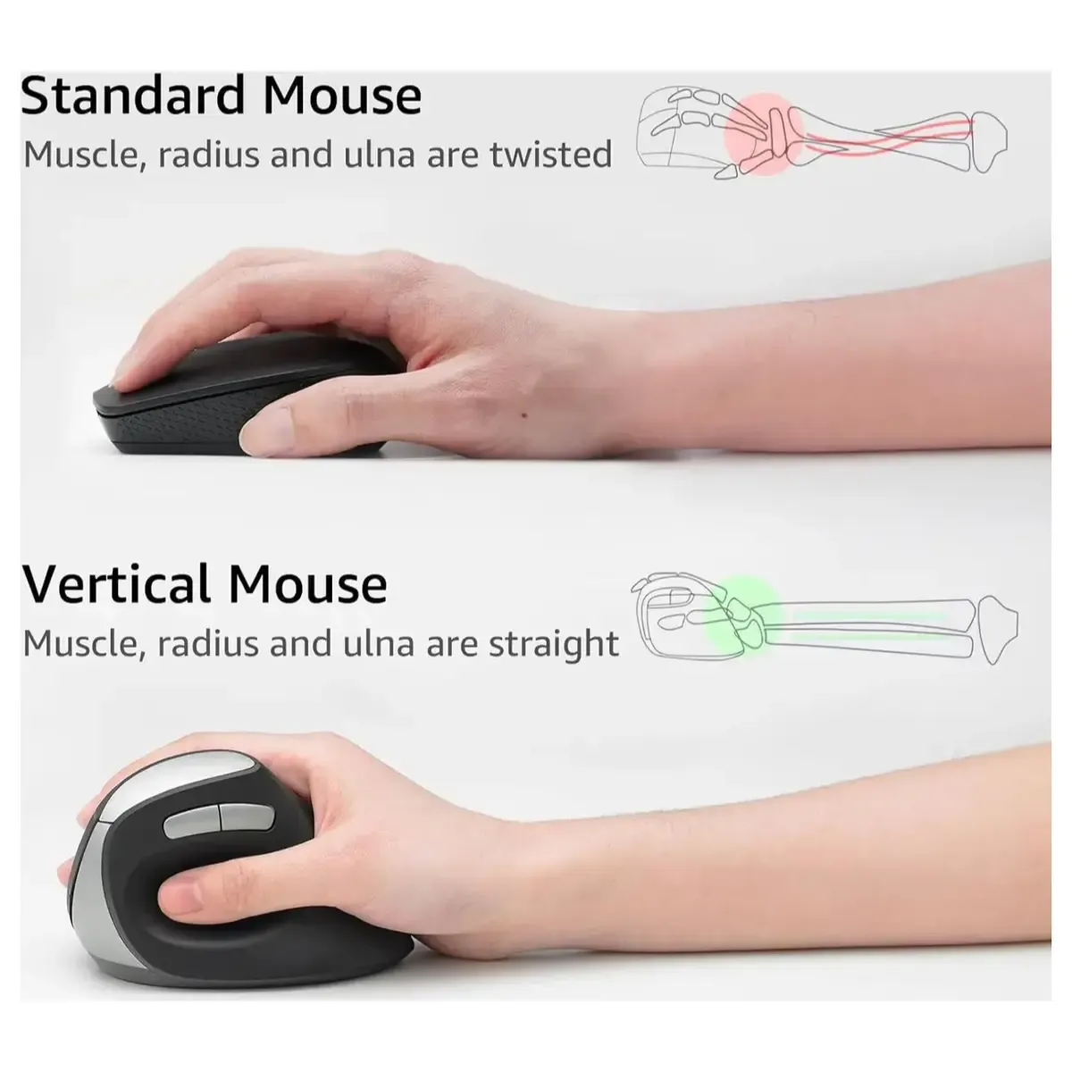 Rapoo EV250 Vertical Ergonomic Silent Wireless Mouse with Adjustable 1600 DPI Price in Pakistan